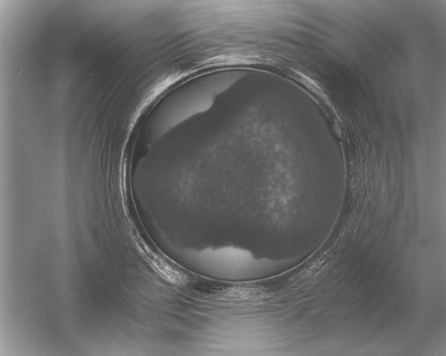 X0000056001179200509092038