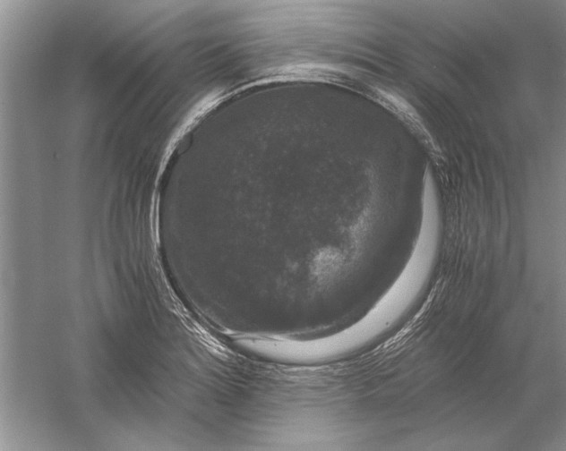 X0000056001180200509092038