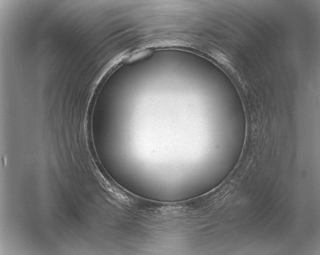 X0000056001181200509092038