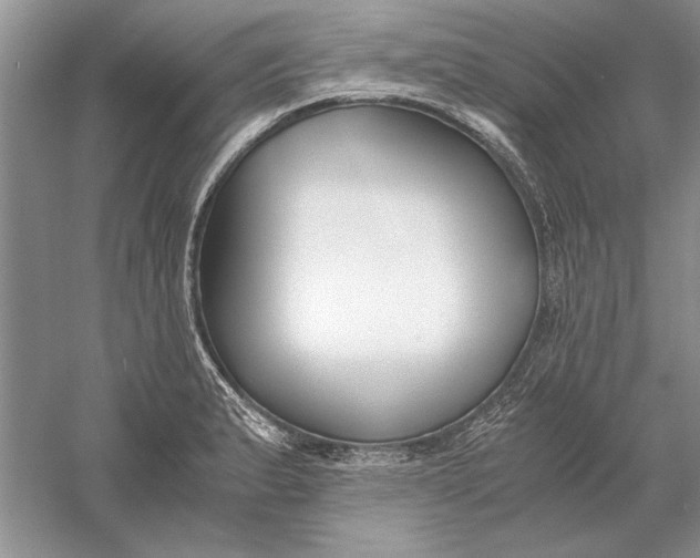 X0000056001183200509092038