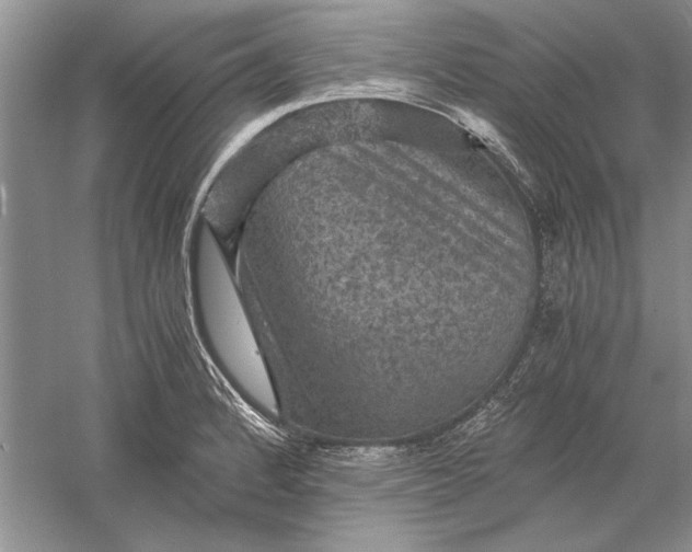 X0000056001184200509092038