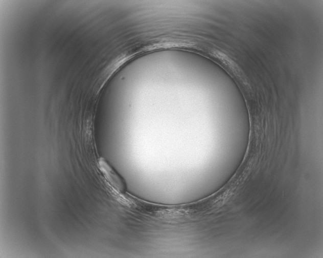 X0000056001185200509092038