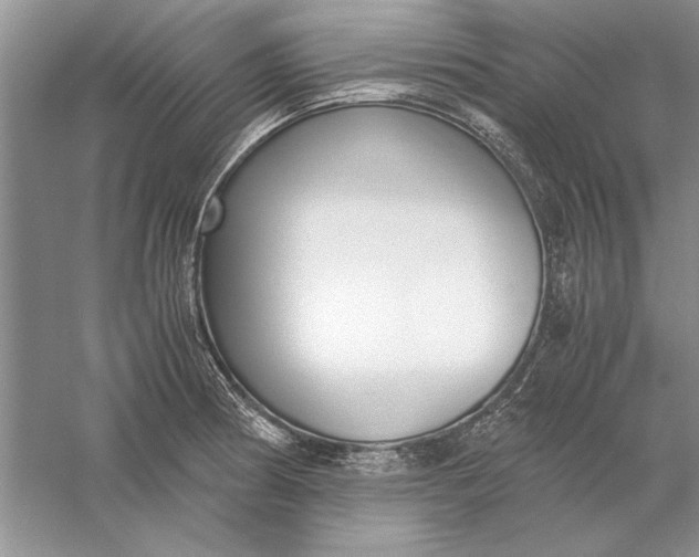 X0000056001186200509092038