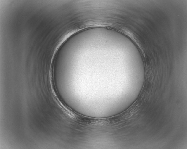 X0000056001187200509092038