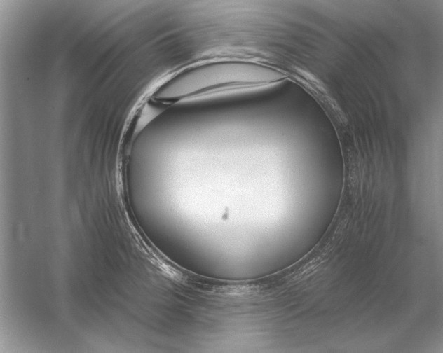 X0000056001188200509092038