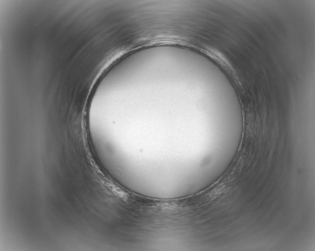 X0000056001190200509092038