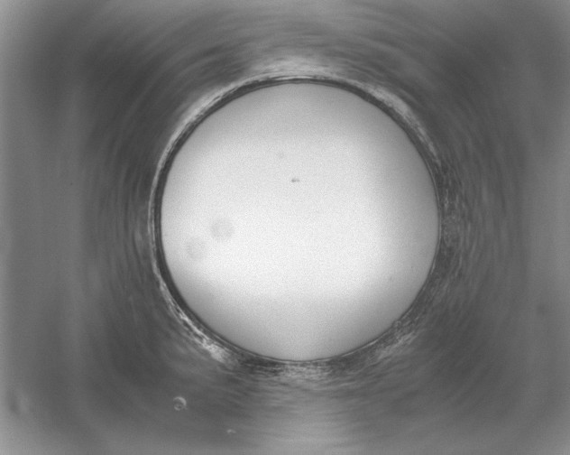 X0000056001191200509092038