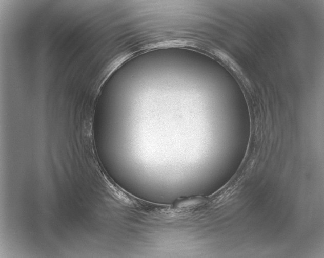 X0000056001193200509092038