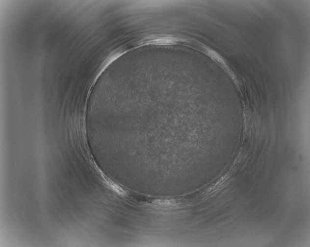 X0000056001194200509092038