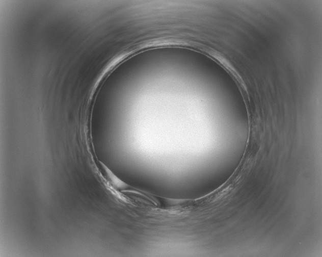 X0000056001197200509092037