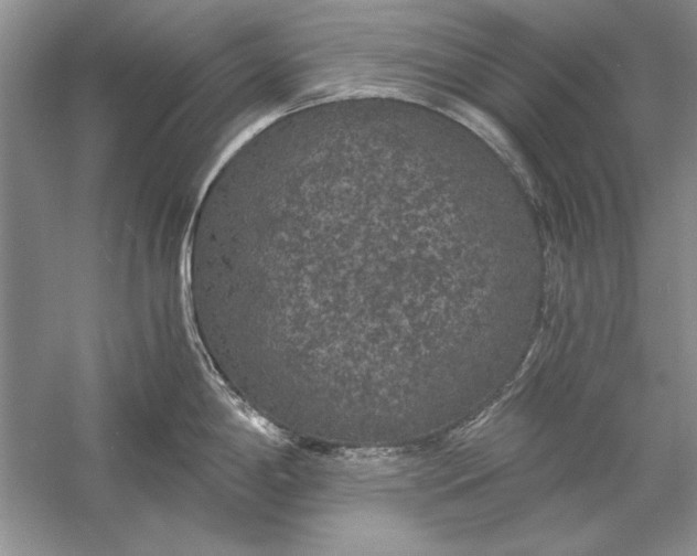 X0000056001198200509092037