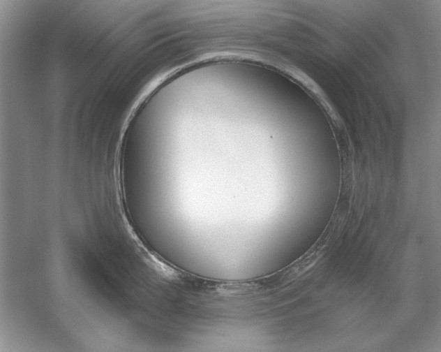 X0000056001199200509092037