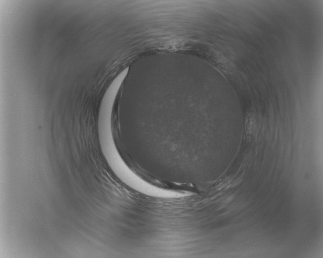 X0000056001202200509092037