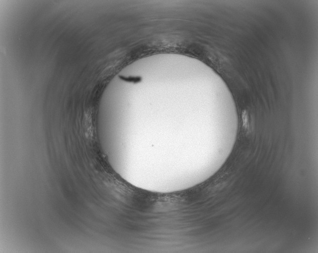 X0000056001203200509092037