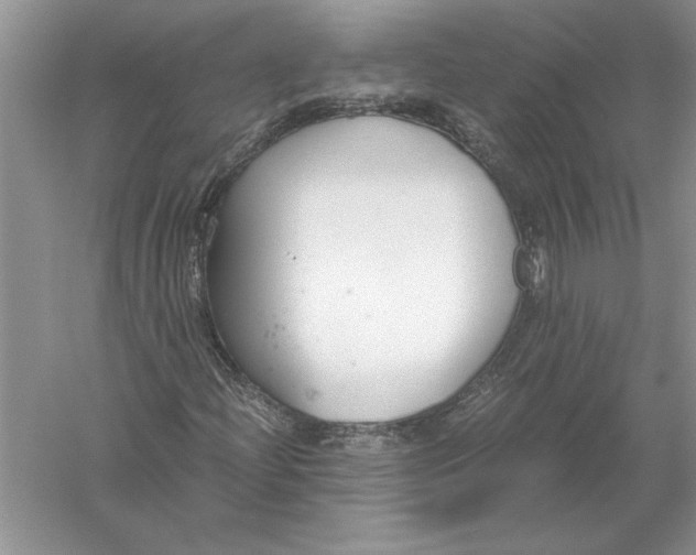 X0000056001204200509092037