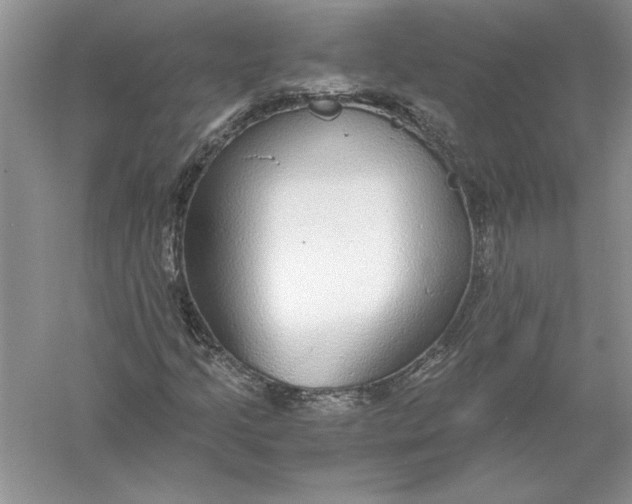 X0000056001205200509092037