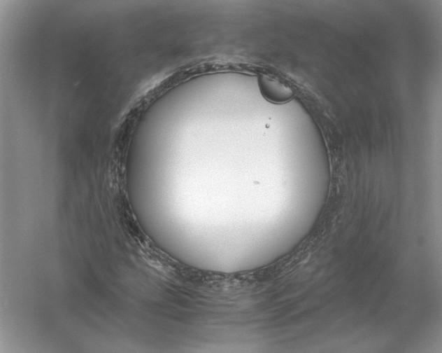 X0000056001207200509092037