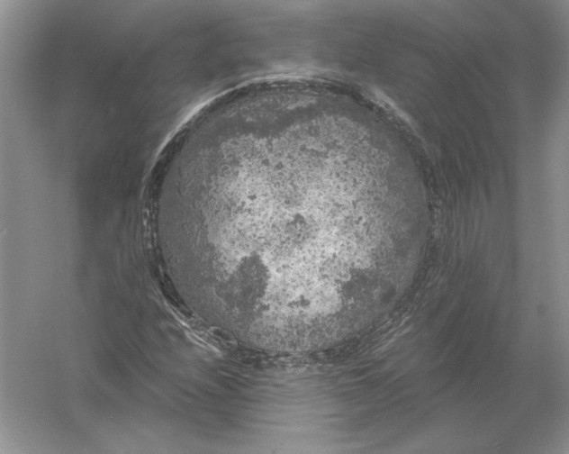 X0000056001208200509092037