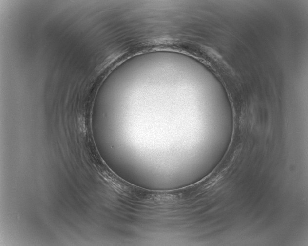 X0000056001209200509092037