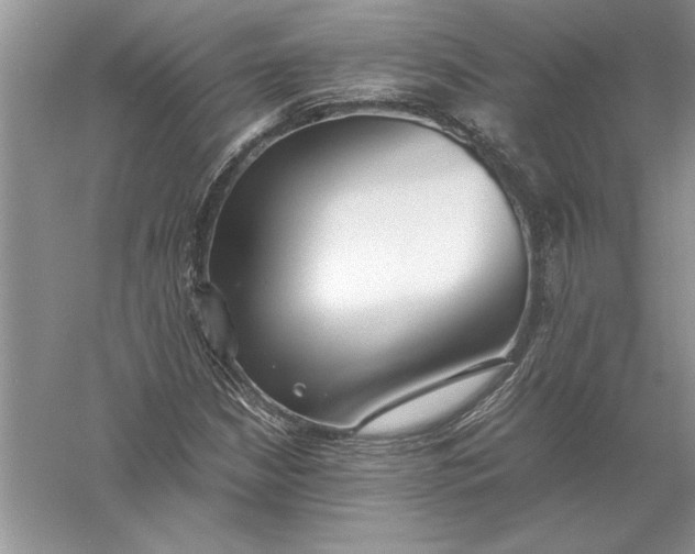 X0000056001210200509092037