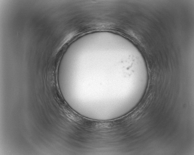 X0000056001211200509092037