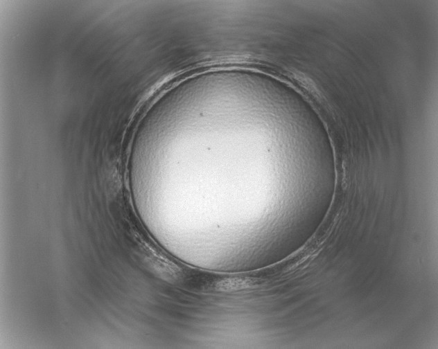 X0000056001212200509092037