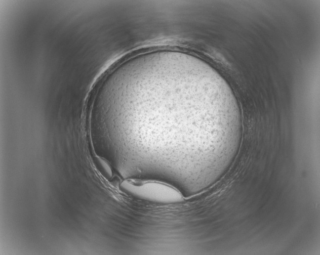 X0000056001216200509092037