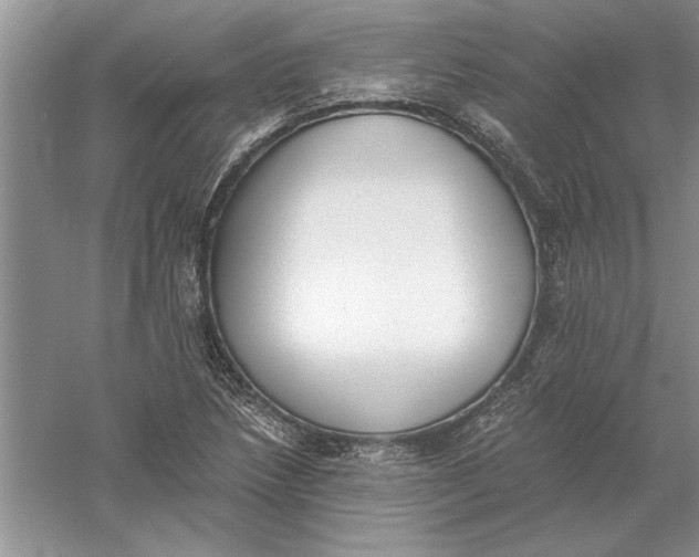 X0000056001218200509092037