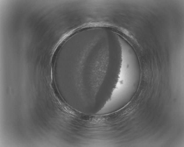 X0000056001221200509092037