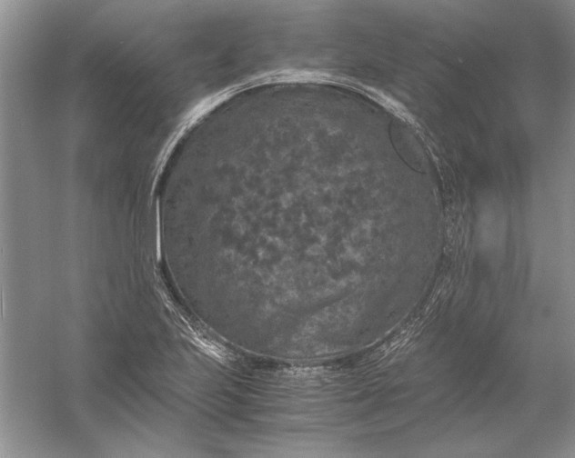 X0000056001223200509092037