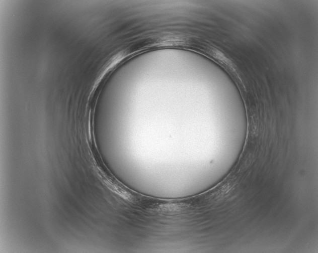 X0000056001227200509092037