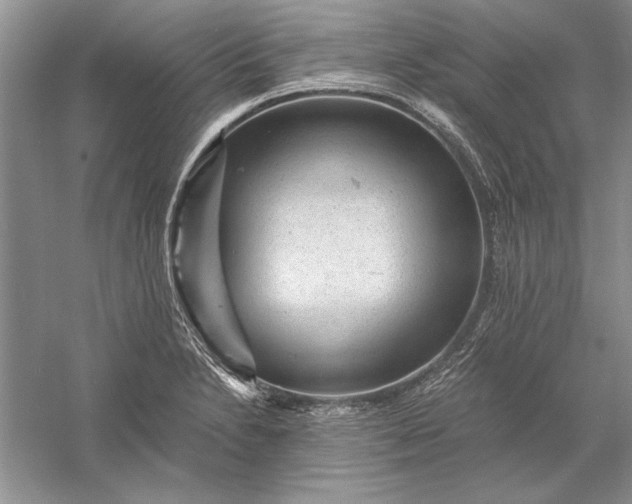 X0000056001230200509092037