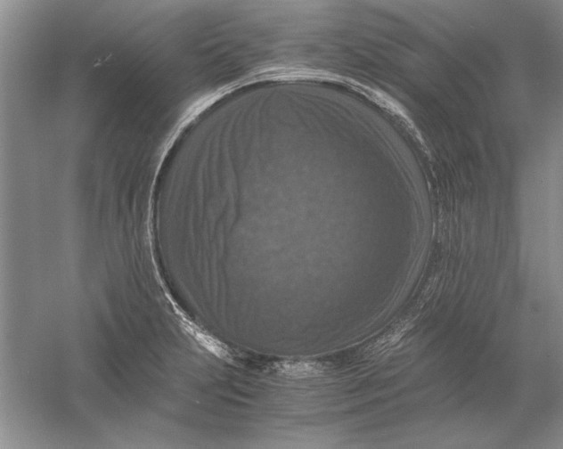 X0000056001231200509092037