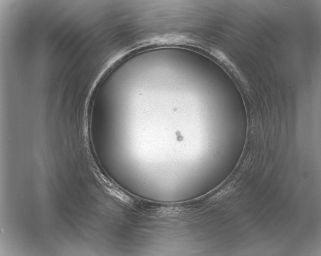 X0000056001232200509092037