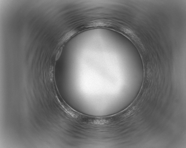 X0000056001233200509092037