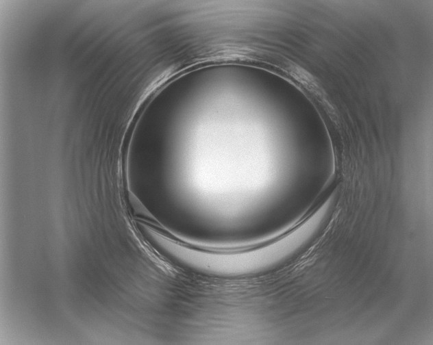 X0000056001234200509092037