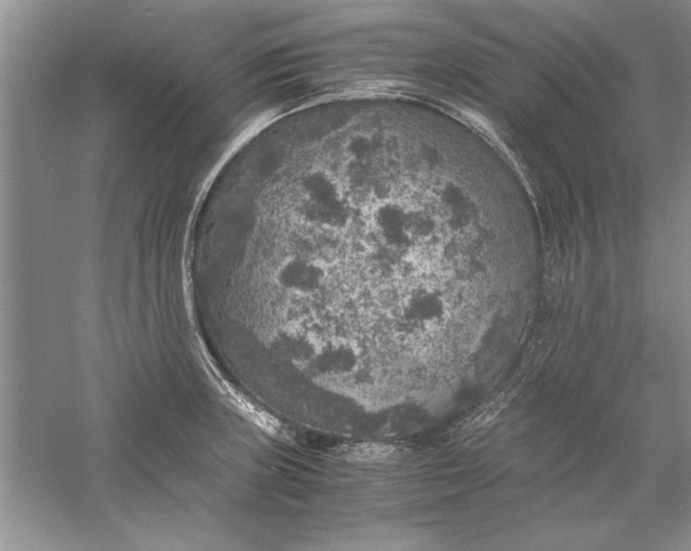 X0000056001235200509092037