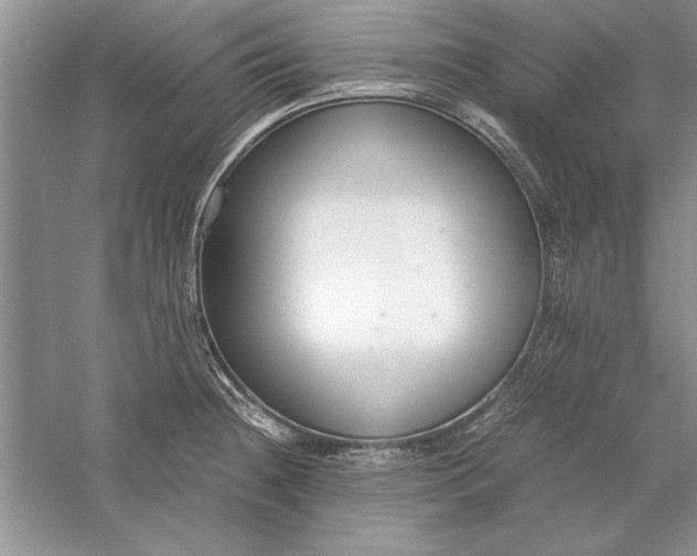 X0000056001236200509092037