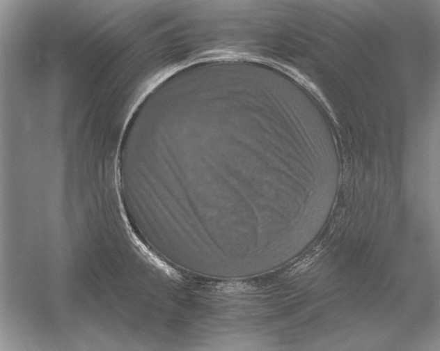 X0000056001239200509092037