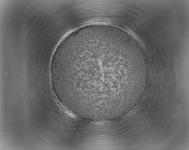 X0000056001240200509092037