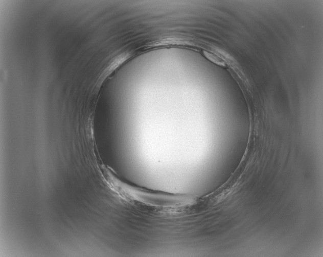 X0000056001241200509092037