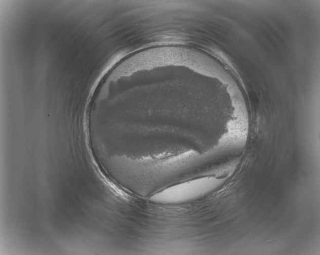 X0000056001243200509092037