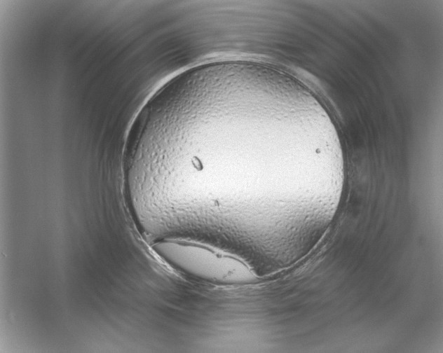 X0000056001244200509092037