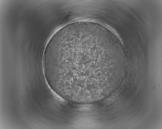 X0000056001247200509092037