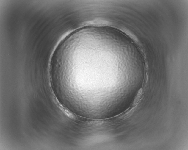 X0000056001248200509092037