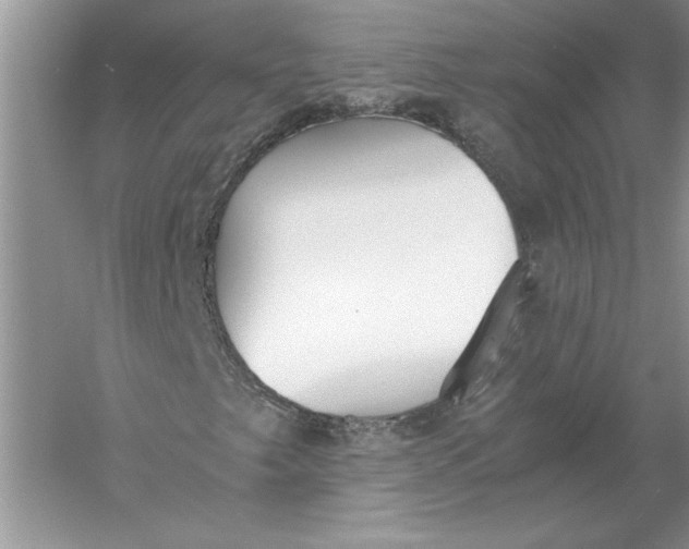 X0000056001249200509092037