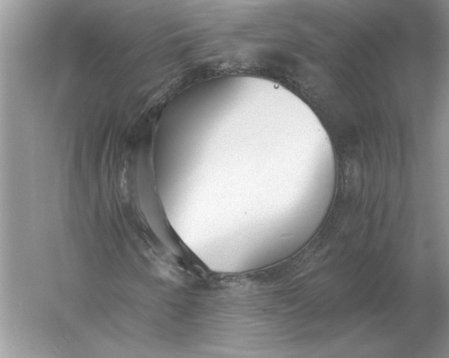 X0000056001250200509092037