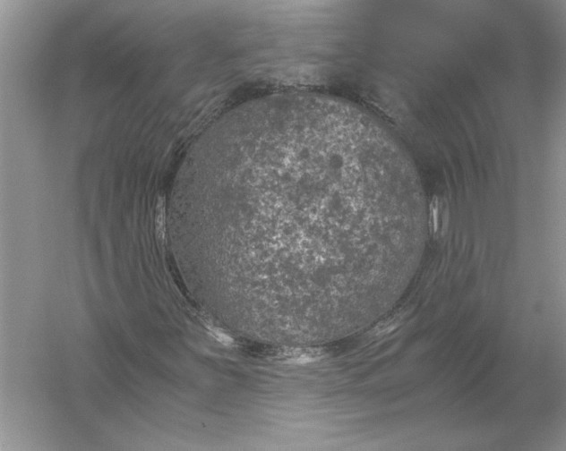 X0000056001251200509092037