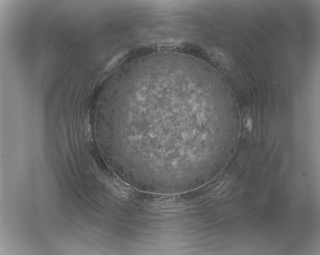 X0000056001252200509092037