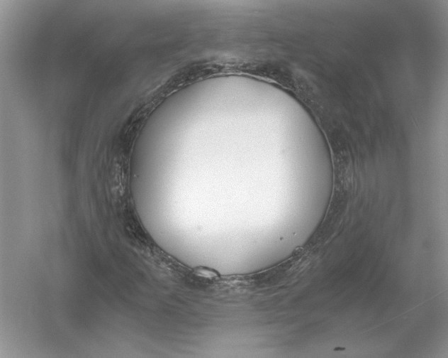 X0000056001253200509092036